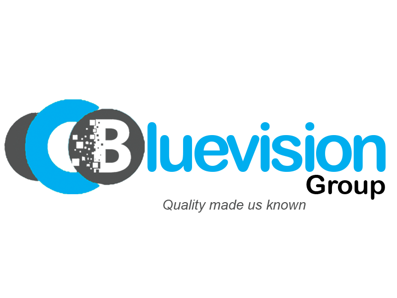 bluevision logo